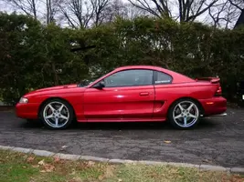 sidelowerednewsaleenchop.webp