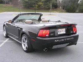 stang2-2006033.webp