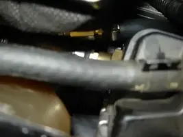 nr18nm.webp