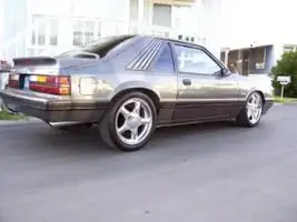 18spony.webp