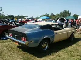 473Picture_006-med.webp