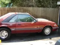 mustangsiders9to.th.webp