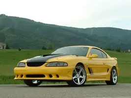 Austin95Saleen.webp