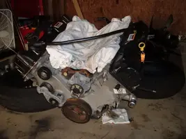 DSCF1140.webp