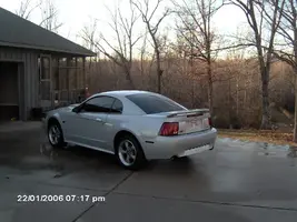 stang023.webp