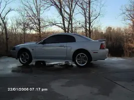 stang022.webp