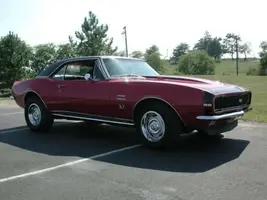 Nickey_Camaro_Webshot.webp
