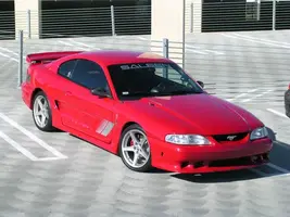KCJ_stangs_008.webp