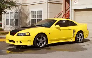 pimp1.webp