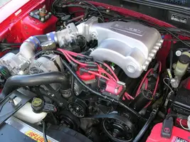 94_Cobra_008.webp