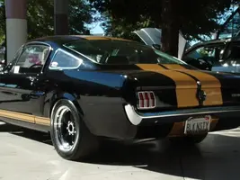 DSCF0140.webp