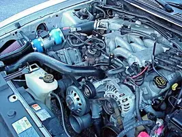 Stang6.webp