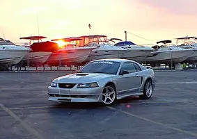 Stang10.webp