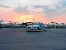 Stang9.webp