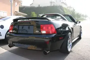 stang1.webp