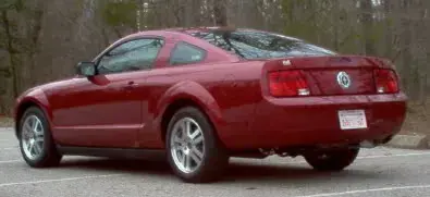 Stang3.webp
