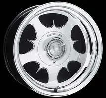 509rhino.webp