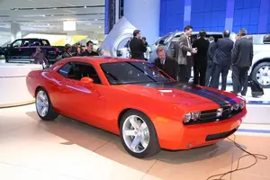 IMG_2045a.webp