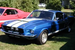 DD_2.webp