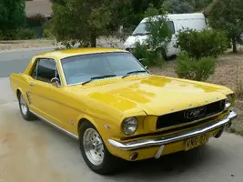 Mustang-Front.webp