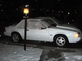 snow1.webp