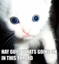macro-hayguys.webp