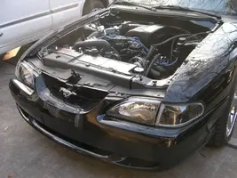 DSCN9121.webp