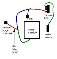 vac-dgm.webp