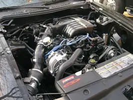 DSCN9109.webp