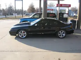 mustang006.webp