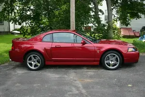 cobra33bo.webp