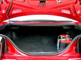 trunk004.webp