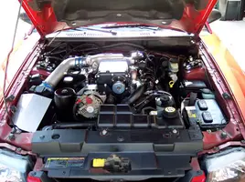 Mustangs031.webp