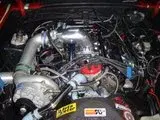 th_1.webp