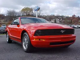 stang8gk.webp