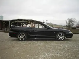 stang1.webp