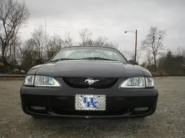 stang3.webp