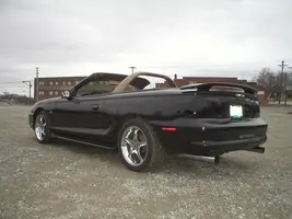stang5.webp