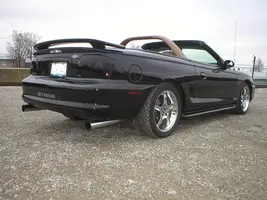 stang6.webp