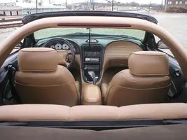 stang7.webp