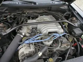 stang8.webp