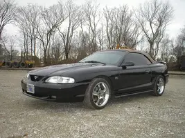 stang10.webp
