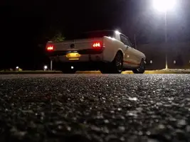 mustang.webp