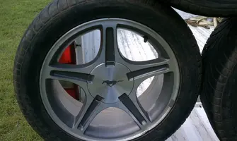 IMAG0550.webp