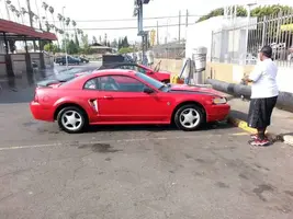 mustang 3.webp