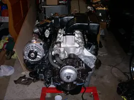DSCN8637.webp