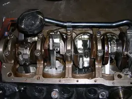 DSCN8368.webp