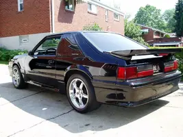 stang4.webp