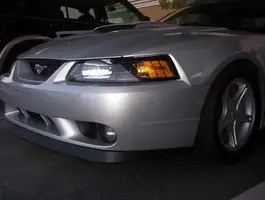 000_0455.webp