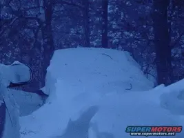 snow%20stang.webp